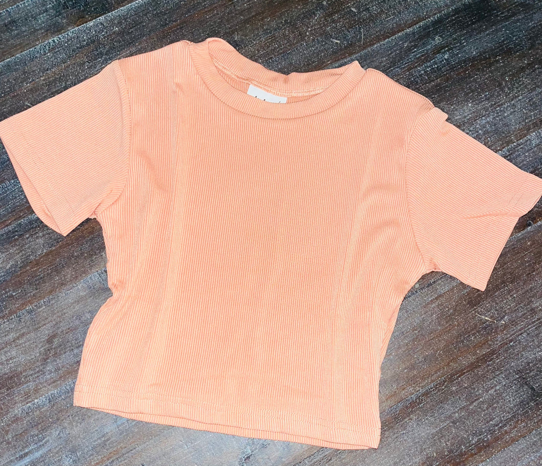 Loving The Crew Ribbed Crop Top Salmon
